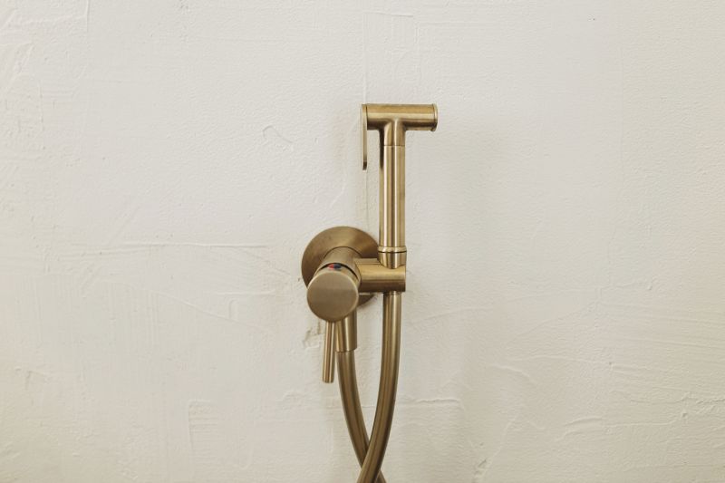 Bidet Installation in Denver, CO