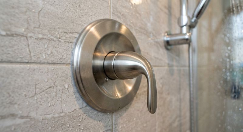 Shower Lever Repair in Denver, CO