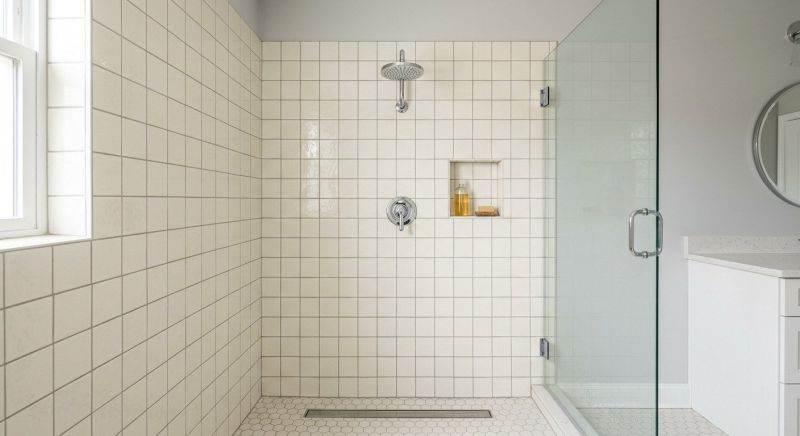 Shower Repair in Denver, CO